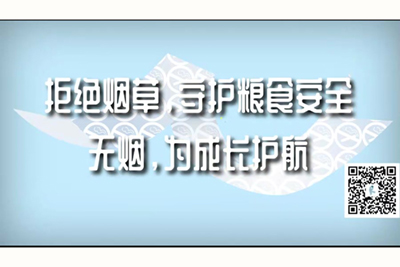 插骚视频网站拒绝烟草，守护粮食安全